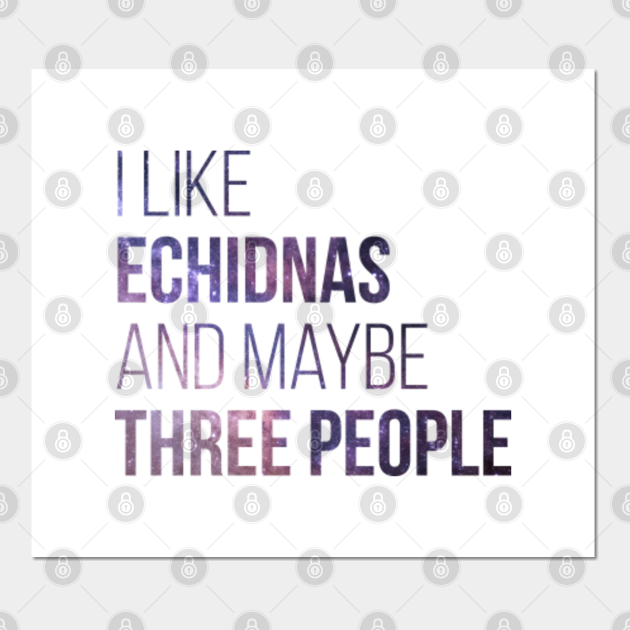 Echidna - Echidna - Posters and Art Prints | TeePublic